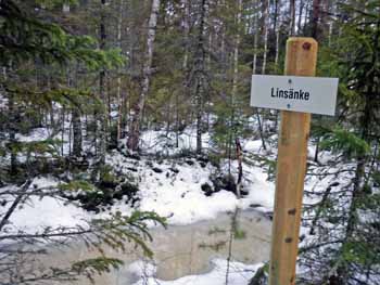 Linsänke